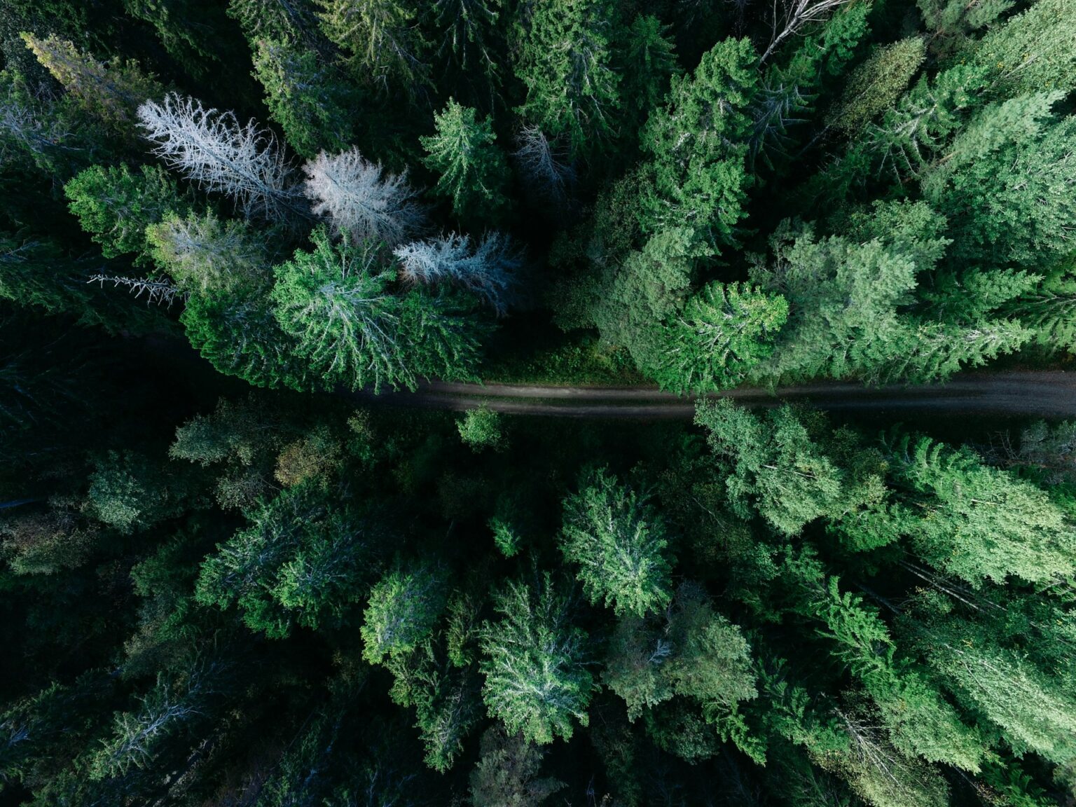 Society – The soil in which we grow